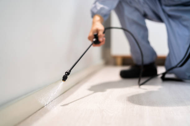 Licensed Pest Control service in Wayne County County, WV - Nex Pest Control