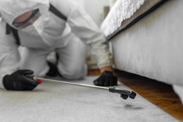 Professional Pest Control technician working in Wayne County County, WV
